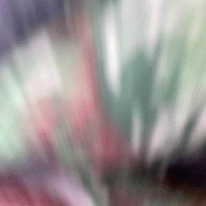 Meet your Posher, Tekoah